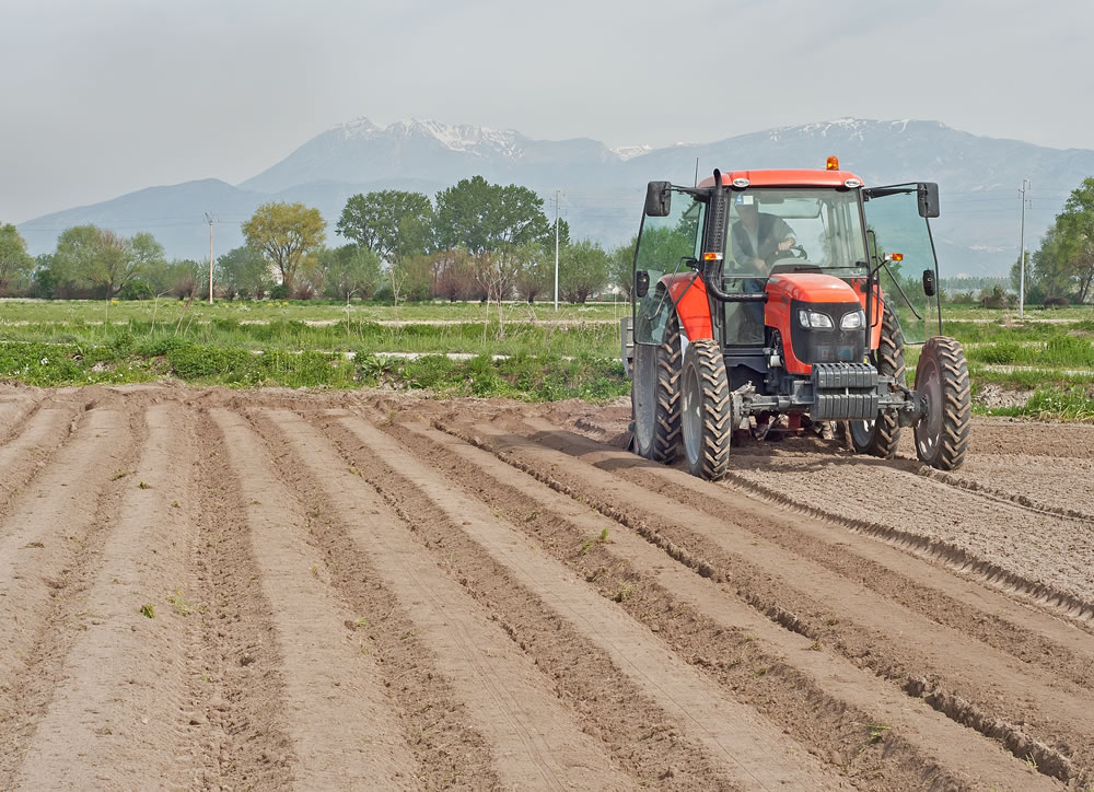 Macchine movimento terra